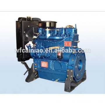 motor diesel weifang ricardo 4105